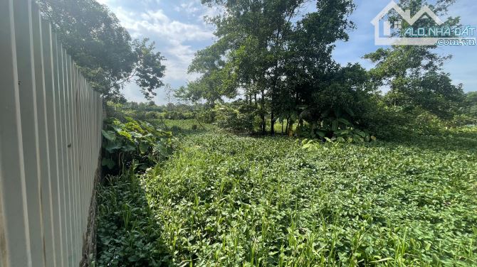 Chính chủ bán 1200m2 đất nông nghiệp xen kẹt, giá rẻ 1,2tr/m2 - 5