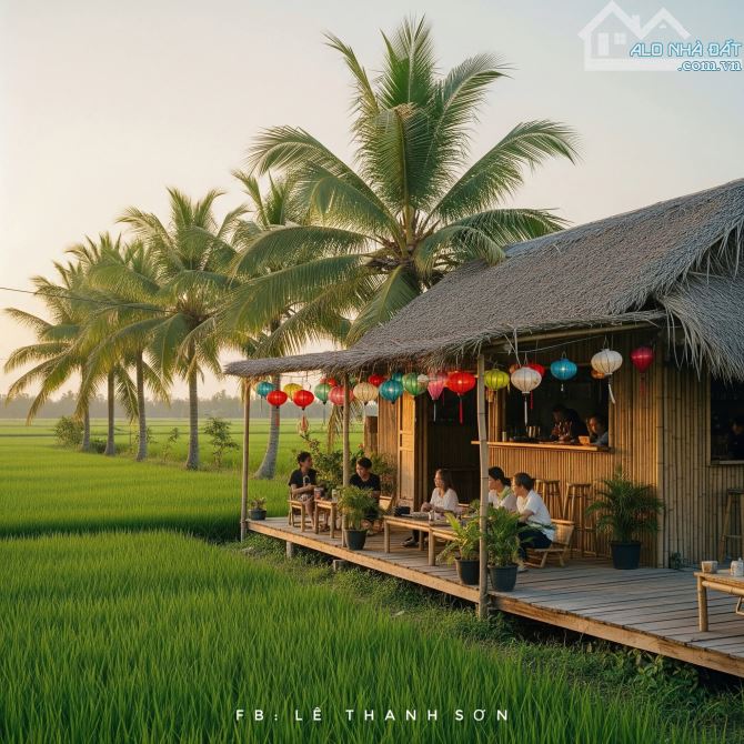 Gần 1000m2 lúa lạc tấn_ tân trụ_Long an 325 triệu giá rẻ nhất khu vực - 6