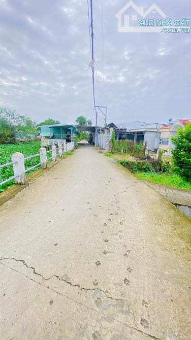 Bán đất 1.500 m2 rạch Đường Gỗ Cái Răng có view sông - 6