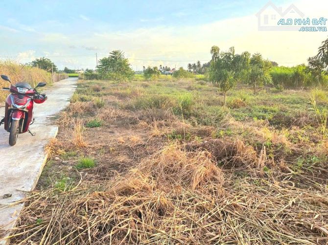 Quá rẻ, 1113m2 đất có 113m2 thổ cư đường ô tô chỉ 1.15 tỷ - 6