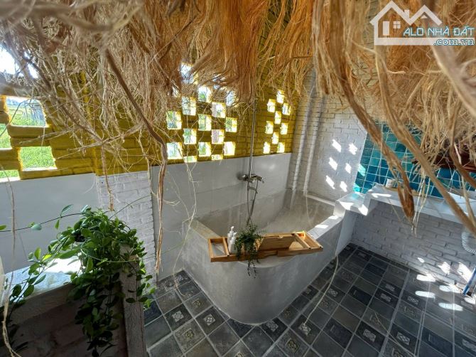 SIÊU RẺ VỐN Homestay Dòng Tiền Mạnh View Hồ giá rẻ - 6