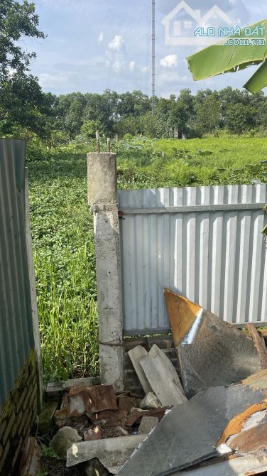 Chính chủ bán 1200m2 đất nông nghiệp xen kẹt, giá rẻ 1,2tr/m2 - 6