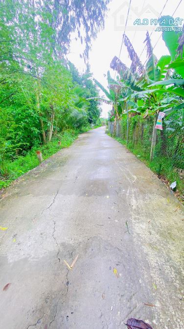 Bán đất 1.500 m2 rạch Đường Gỗ Cái Răng có view sông - 7