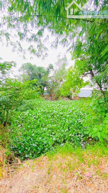Bán đất 1.500 m2 rạch Đường Gỗ Cái Răng có view sông - 8