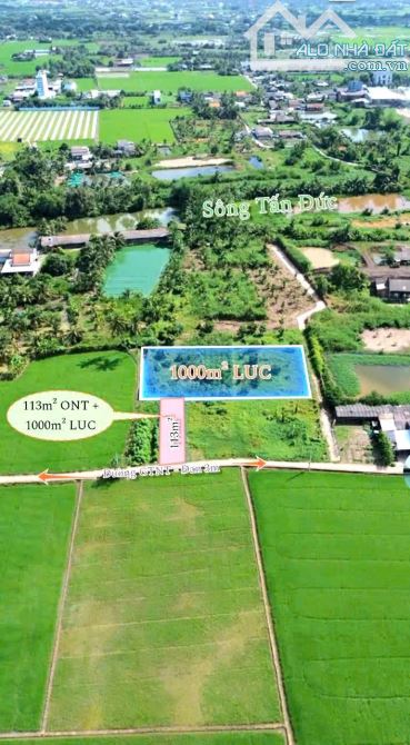 Quá rẻ, 1113m2 đất có 113m2 thổ cư đường ô tô chỉ 1.15 tỷ - 8