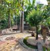 🌳 BÁN ĐẤT VUÔNG VỨC – TẶNG KÈM 302M² ĐÃ CÓ NHÀ VÀ VƯỜN – GIÁ CHỈ 16 TỶ