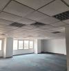 Cho thuê mặt bằng Nguyễn Chánh – Cầu Giấy – 275m² – MT 27m – Giá 200 triệu/tháng