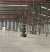 CHO THUÊ KHO XƯỞNG TẠI VĂN GIANG, HƯNG YÊN TỪ 1000m2 ĐẾN 100000m2