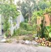 BÁN LÔ ĐẤT ĐẸP MT NHỮ TIẾN HIỀN THỊ TRẤN CỦ CHI 250M2 GIÁ 490 TRIỆU TL