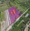 546m2 đất vườn được lên thổ vew kênh đường ôtô bình đức bến lức Long An 550 triệu rẻ ngộp