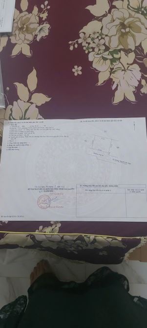 Đường Trường Chinh, Phường Hội Phú, Thành phố Pleiku, Gia Lai