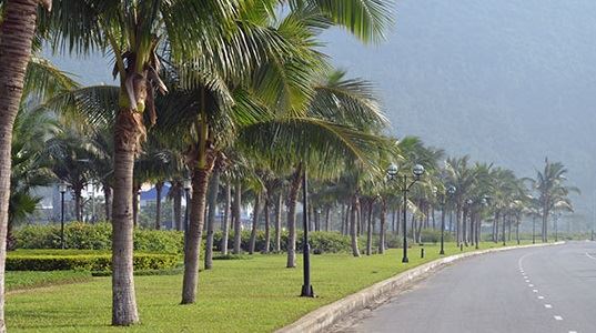 VIP BIỂN! BÁN ĐẤT 2 MẶT TIỀN 1125M2 – 337,2 TỶ - MT HOÀNG SA - Q. SƠN TRÀ