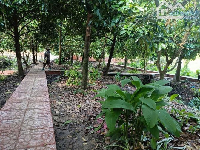 ĐẤT NGHỈ DƯỠNG 4,8 Tỷ, Lộ Ô Tô, CÁCH KDL ÔNG ĐỀ 400M, PHONG ĐIỀN,  TP CẦN THƠ