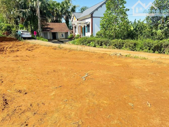 100m2 full tc tại Đồng Lương - Cẩm Khê, giá chỉ nhỉnh 300tr