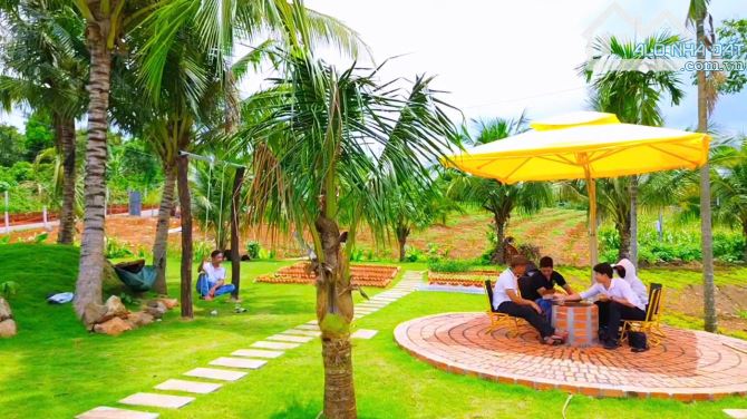 Bán 1 ha đất đẹp như đà lạt làm nhà vườn quá mát