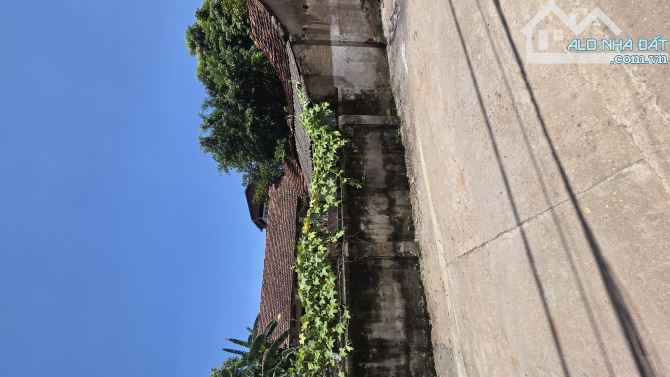 B.Á.N ĐẤT  ĐAN PHƯỢNG 317M2, 17 TỶ  ,LÔ GÓC 2 MẶT ĐƯỜNG Ô TÔ THÔNG, CHIA LÔ RẤT ĐẸP.