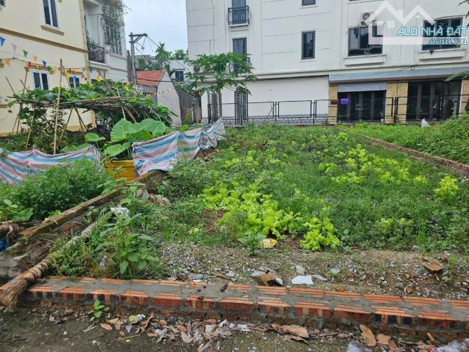 Bán đất lô góc 48m² sau bến xe Yên Nghĩa – Ô tô đỗ cửa, sổ đỏ chính chủ 🚗🏡