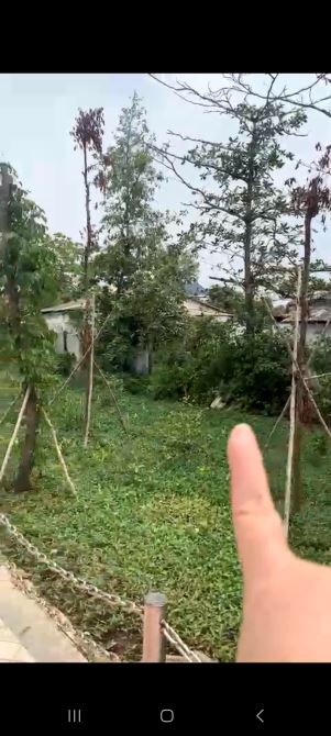 3237m2 full tc 2 mặt tiền nhựa và bờ kè sông Cần Giuộc nghỉ dưỡng phân được 6 lô giá 20tr/ - 1