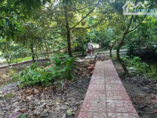 ĐẤT NGHỈ DƯỠNG 4,8 Tỷ, Lộ Ô Tô, CÁCH KDL ÔNG ĐỀ 400M, PHONG ĐIỀN,  TP CẦN THƠ - 1