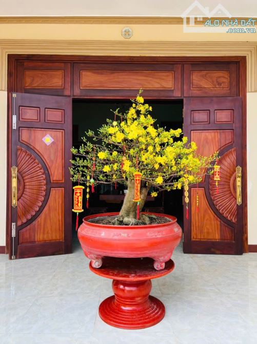 Bán nhà 12 x 65 MT Nguyễn chí thanh thị trấn DMC chỉ 5 tỷ - 1