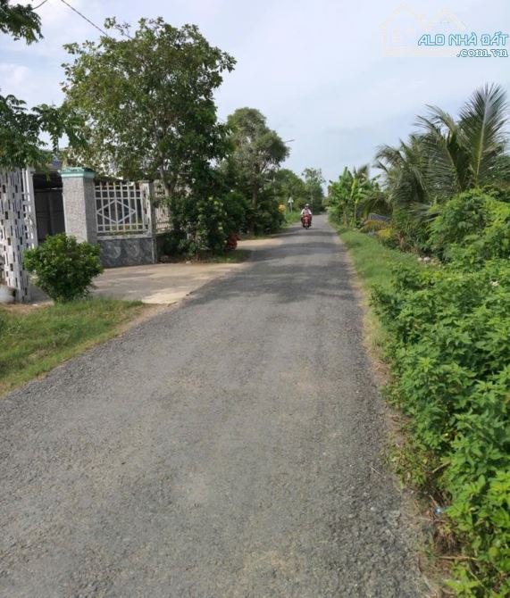 💎 Bán đất (15 x 31m) nhựa cặp kênh Trần Văn Dõng, Phường Long Thuận, TP Gò Công, TG - 1