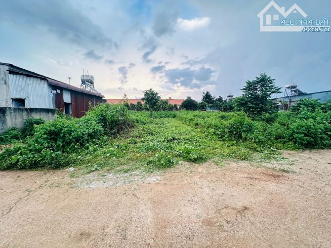 Cần Bán Nhanh Lô Đất Hẻm Tỉnh Lộ 8 Sát KCN Tân An Xã Cư Suê -Cư Mga DakLak - 2