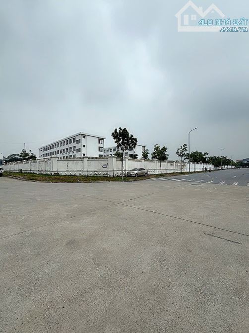 Bán 80m Bắc Hồng,Đông Anh đường thông ô tô chạy vòng quanh - 2