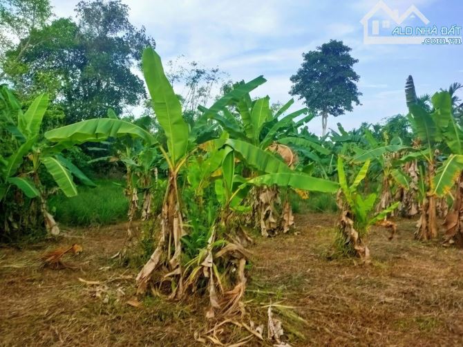 Bán Lô đất view Hồ Sen thôn An Ninh - Thuỷ Bằng, Huế Với 02 Mặt tiền Tiếp Giáp đường - 2
