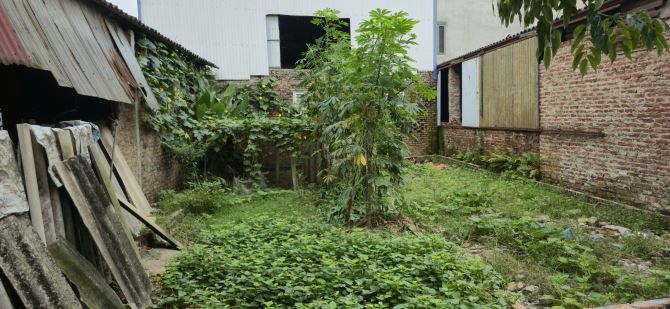 Bán đất Mạnh Tân- Thư Lâm, đầu tư, 45m2, mt 3.7m, chào 1.75 tỷ, 50m ra đường Thư Lâm - 2