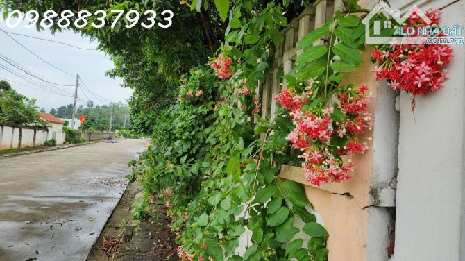 Nhà cạnh hồ, TX Sơn Tây, view như Đà Lạt, cần bán gấp giá rẻ - 2