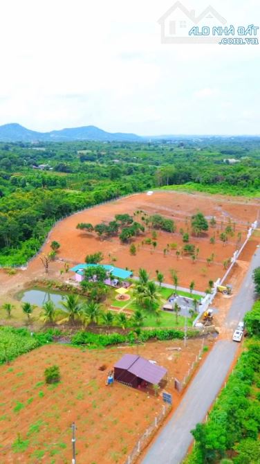 Bán 1 ha đất đẹp như đà lạt làm nhà vườn quá mát - 2