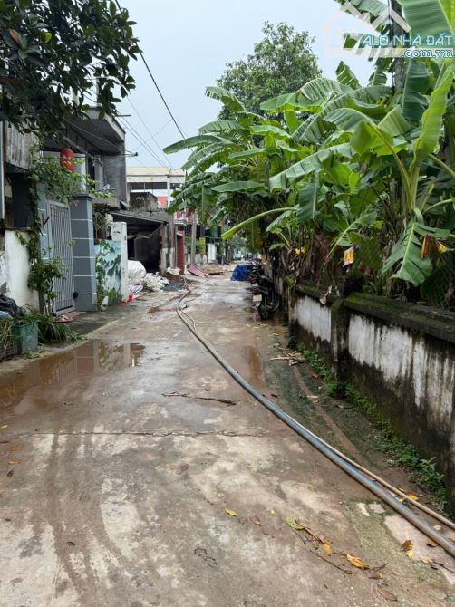 B.Á.N ĐẤT  ĐAN PHƯỢNG 317M2, 17 TỶ  ,LÔ GÓC 2 MẶT ĐƯỜNG Ô TÔ THÔNG, CHIA LÔ RẤT ĐẸP. - 2