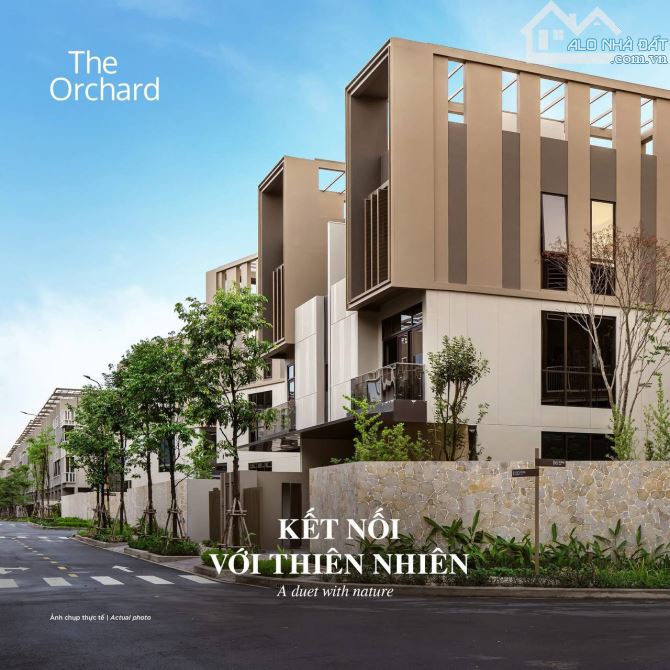 BT Song lập The Orchard cao cấp nhất TP. Mới nhận nhà Quý IV/2025 giá chỉ từ 15 tỷ all in - 2