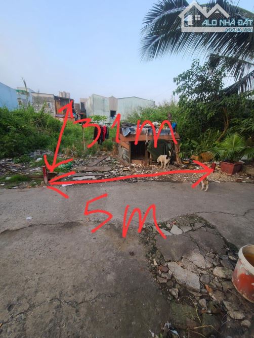 Bán đất đường Trần Đại Nghĩa, Vòng Xoay An Lạc, 5X31M, Hẻm xe hơi, Giá bao đầu tư. - 2