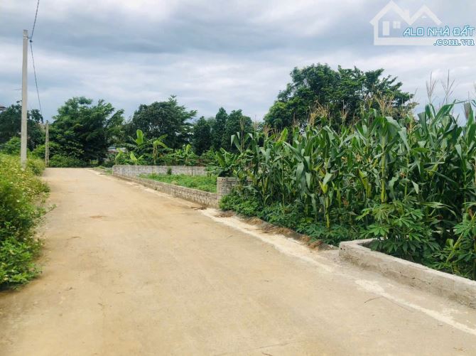 Hàng hiếm Bán nhanh 69m² đất ở giá rẻ Vị trí tiềm năng tại Bình Yên cách CNC hoà lạc 800m - 2