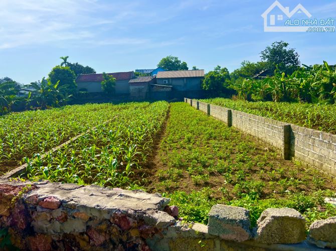BÁN ĐẤT CHÍNH CHỦ – THÔN HẠNH CÔN, XUÂN MAI, HÀ NỘI - 3