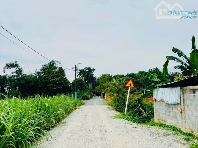 BÁN GẤP LÔ ĐẤT CỦ CHI CHỦ NGỘP TIỀN VỚI GIÁ 550 TRIỆU - 3