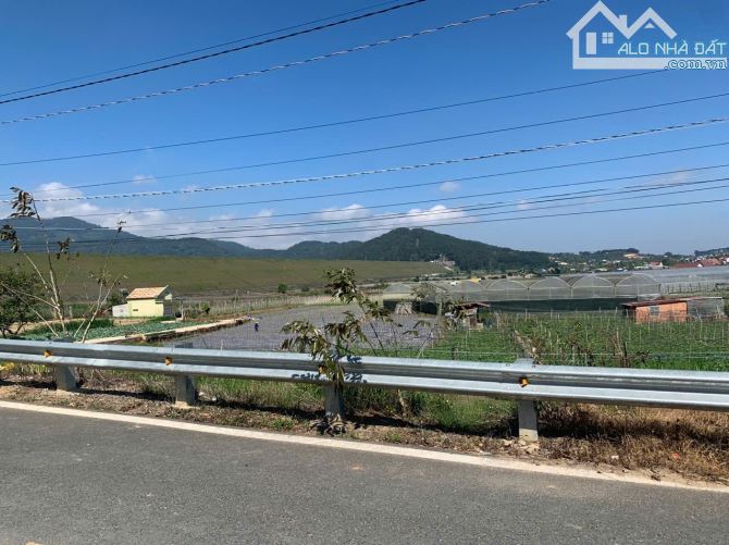 Cần bán lô đất ngay khu phố 3, thị trấn Dran,huyện Đơn Dương. 1117m² - 2ty2 - 3