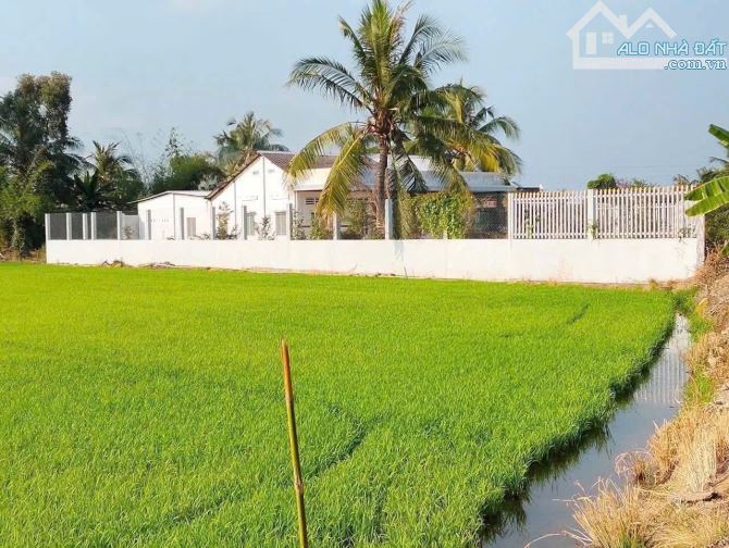 Bán đất + Nhà vuờn 1200m2 view kênh mỹ an_Thủ Thừa giá 2 tỷ đường ôtô bự giá ngộp - 3