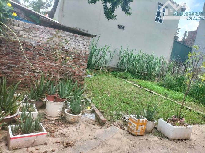 CHỦ NHÀ ĐANG RẤT THIỆN CHÍ BÁN LÔ ĐẤT NHỎ XINH ĐC: Dục Tú ( cũ) nay là xã Đông Anh + Diện - 3