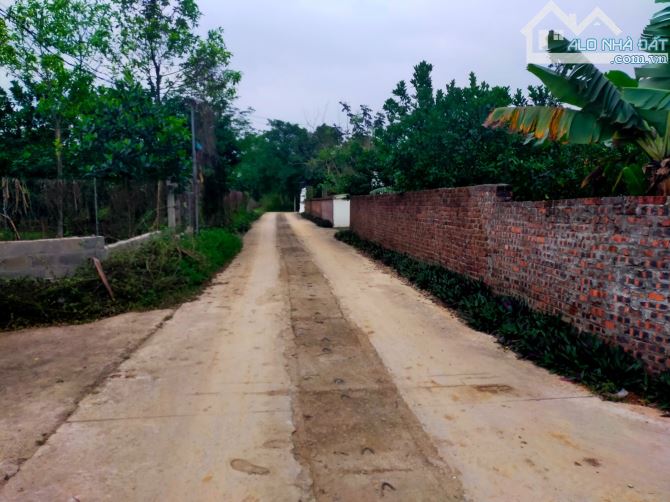 115m sẵn sổ đỏ Thủy Xuân Tiên, Xuân Mai chỉ nhỉnh 2,1 tỉ - 3