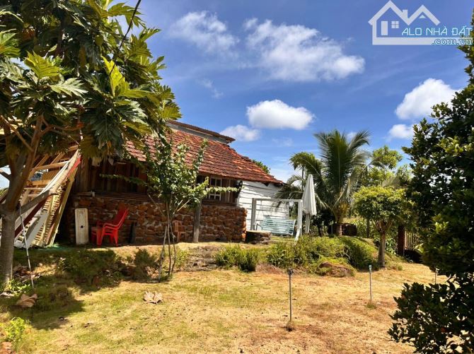 Siêu Phẩm – 2,5 sào ĐẤT 3 MẶT TIỀN – NHÀ + VƯỜN + VIEW – VÀO LÀ Ở NGAY 🔥 👉Pháp lý: nông - 3