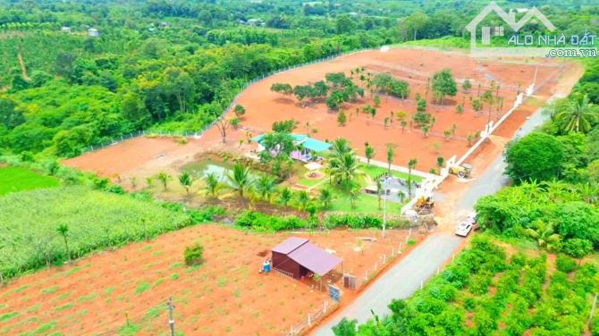 Bán 1 ha đất đẹp như đà lạt làm nhà vườn quá mát - 3