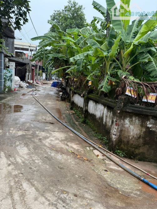 B.Á.N ĐẤT  ĐAN PHƯỢNG 317M2, 17 TỶ  ,LÔ GÓC 2 MẶT ĐƯỜNG Ô TÔ THÔNG, CHIA LÔ RẤT ĐẸP. - 3
