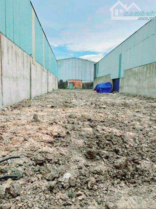 Bán đất xây kho, xây trọ 10x44m (443m2) xã Đức Hòa Đông , Đức Hòa, Long An giá 3.7 tỷ - 2