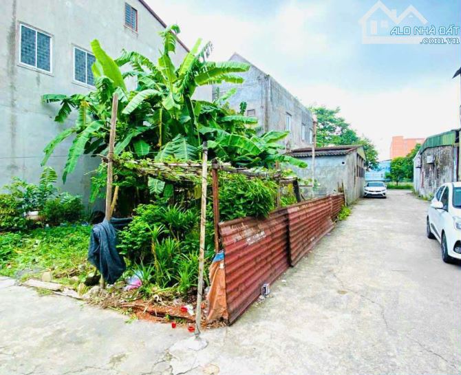 ĐẤT ĐẸP , LÔ GÓC SIÊU ĐẸP KHỐI 10 - P. CỬA NAM - TP VINH - 4