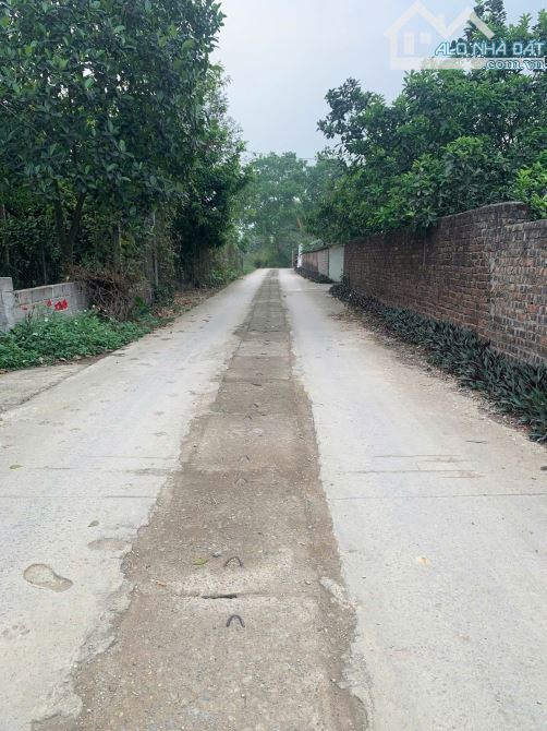 115m sẵn sổ đỏ Thủy Xuân Tiên, Xuân Mai chỉ nhỉnh 2,1 tỉ - 4