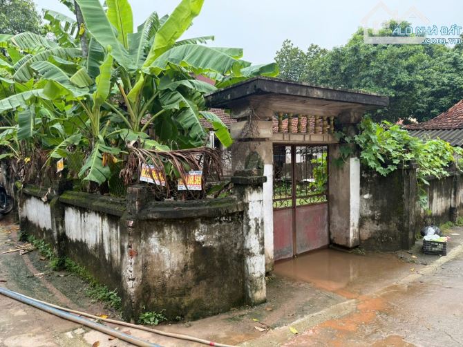 B.Á.N ĐẤT  ĐAN PHƯỢNG 317M2, 17 TỶ  ,LÔ GÓC 2 MẶT ĐƯỜNG Ô TÔ THÔNG, CHIA LÔ RẤT ĐẸP. - 4