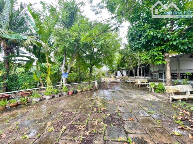 2500m2 Đối Diện Đại Học Cần Thơ 3/2 - 3
