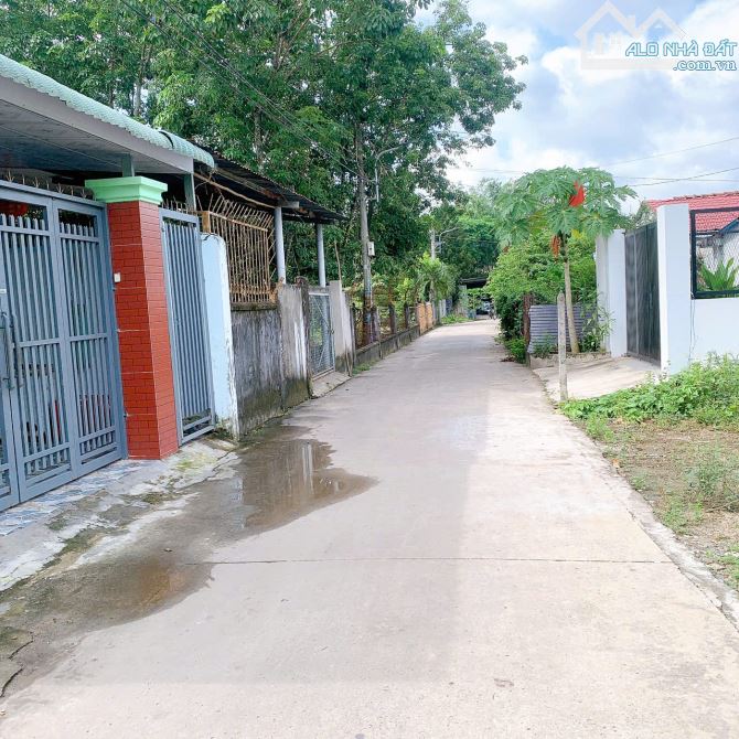 Cần bán gấp lô đất ngay chợ Chánh lưu. Bách hóa xanh. Đường thông. Dân cư kín. 5X35 TC 100 - 5